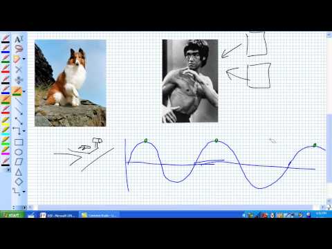 DSP and Nyquist Sampling Theorem