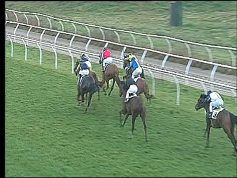 Galoppo 18/02/2017 - 3ª corsa