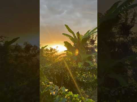 Linda Tarde Desde La Finca EL TESORO En Gigante Huila Colombia 🇨🇴 #travel #armonia #tranquility