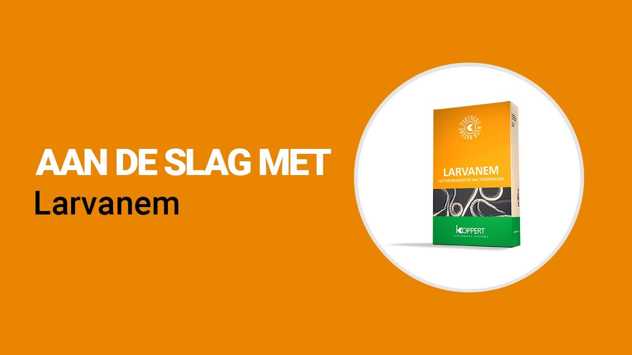 Video preview poster