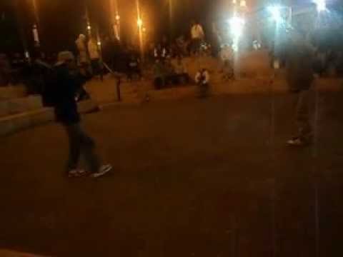 PERROZLOKOS CADA PERRO CON SU HUESO LIVE VIVO !