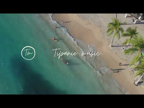 DJ Wellz ft. Toosi - Favourite Song [Zouk ReMix]🇻🇺 Tipanie music