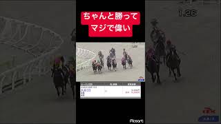 【偉すぎ】勝った騎手も買った自分もマジで偉い #競馬
