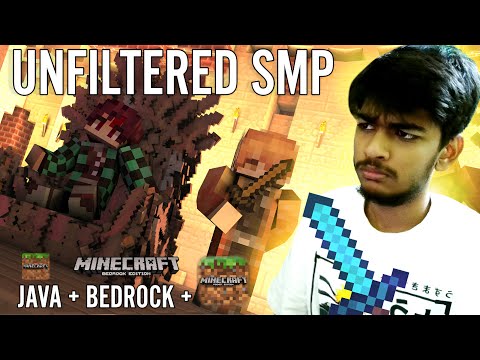 Insane Twist on SMP! Day 24 Java + Bedrock Minecraft!