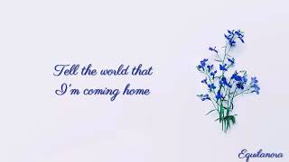 Skylar Grey - Coming Home Pt. II (Lyrics)