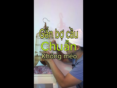 CÁCH KÊ CẦU LỒNG CHIM CHUẨN