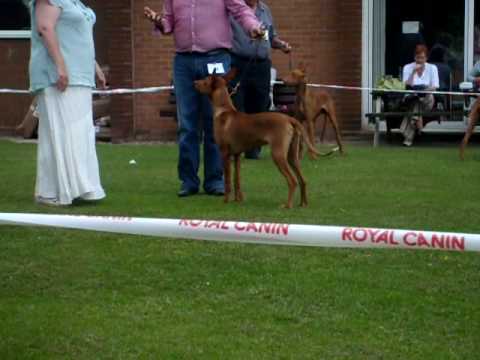 Birkhall Bakari of Habiba