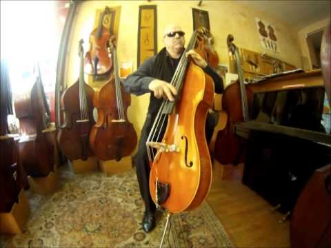 Essai Baby Brette Basse - 4 cordes