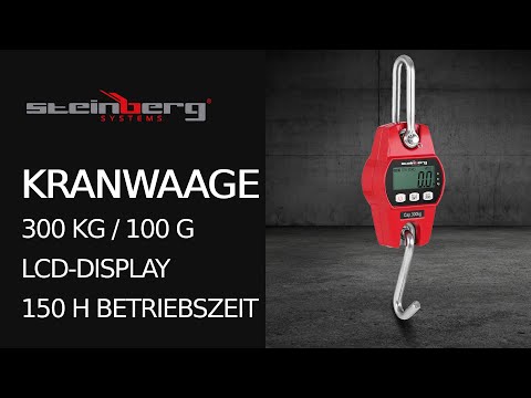 Video - Hängewaage - 300 kg / 0,1 kg - LCD - digital
