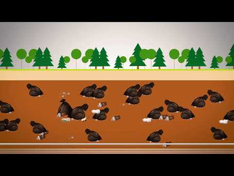 Deponie AM LEMBERG - Sanierung der Teiloberfläche ab 2021