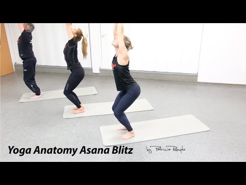 Yoga Anatomie Asana Blitz
