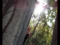 in this heart COVER 