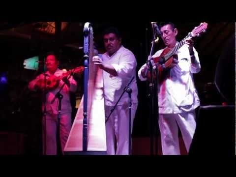 FUSION SHORT VIDEO 1.Playa del Carmen