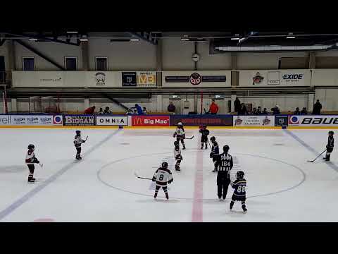 Blues Bruins - Karhu-Kissat