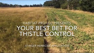 Thistle Control: Side by side comparison of treatment areas