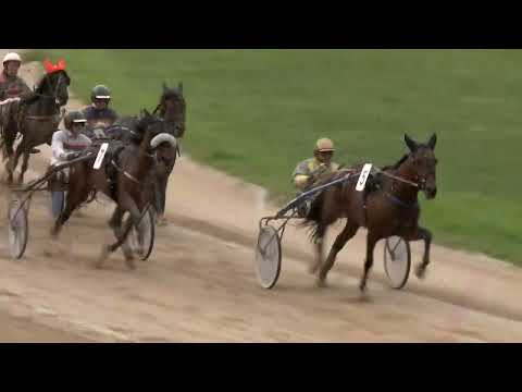 2022.10.01. 04. futam - LAMELLA DÍJ