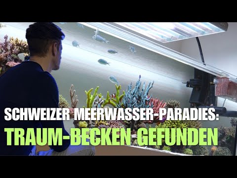 Harmonie Pur: Ist das das schönste Becken in Europa?