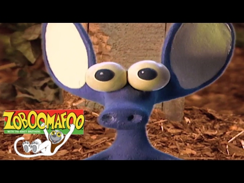 Zoboomafoo 139 - Stinky | HD | Full Episode
