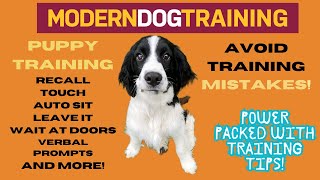 PUPPY TRAINING MISTAKES TO AVOID - Power Packed Training Tips