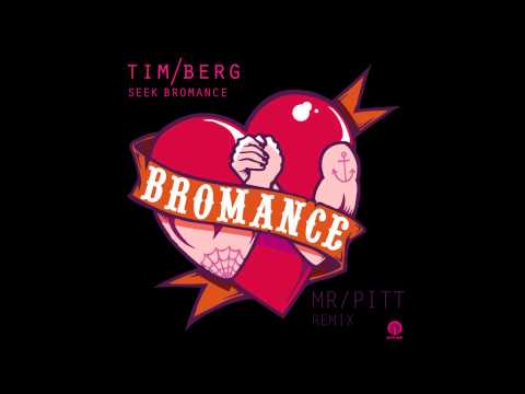 Seek Bromance by Tim Berg (Mr Pitt remix)