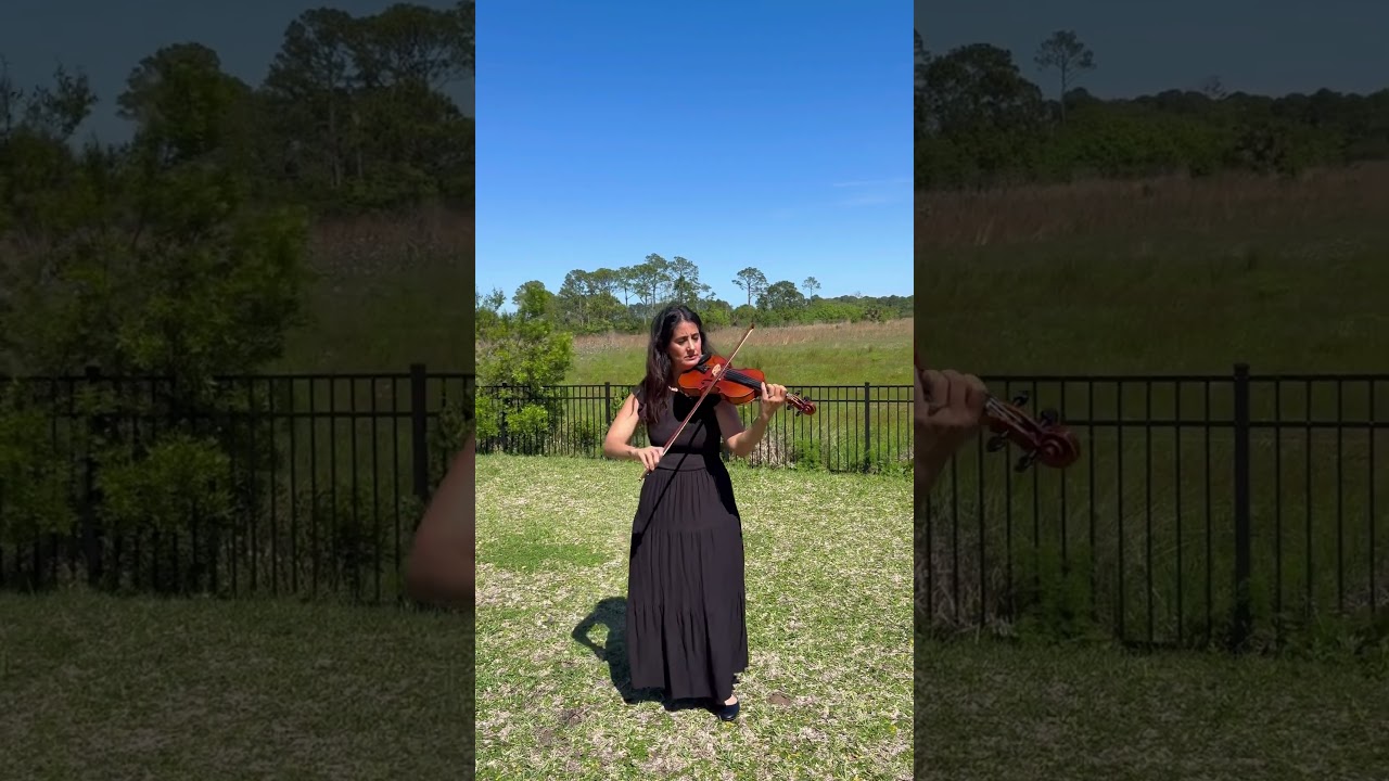 Promotional video thumbnail 2 for One Note at a Time Violinist