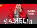 KAMELIA MIX 2024