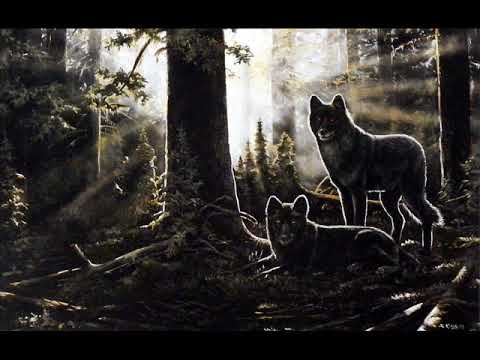 ＳＥＣＲＥＴ　ＬＯＲＥ　☼︎　Ｌｕｍｉｎｏｕｓ　Ｒａｙｓ　[Ｅｌｅｃｔｒｏｎｉｃ　|　Ｓｙｎｔｈｗａｖｅ　|　Ｌｏｆｉ　|　Ｒｅｔｒｏｗａｖｅ　]