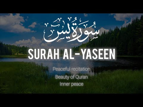 Sleep Meditation with Surah Yaseen | Relaxing Voice Recitation