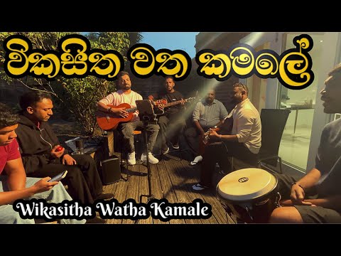 විකසිත වත කමලේ | Wikasitha Watha Kamale (Acoustic Cover) | Yaluwo Unplugged 2025  #sinhalacoversong