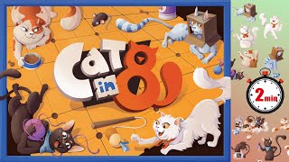 Cat In 8 - Quick Overview