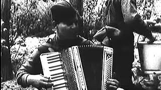 Под этот вальс ловили мы очей любимых свет. м. исаковский