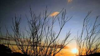 litfiba 17re univers