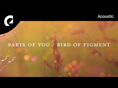Bird Of Figment feat. Cody Francis - Settled