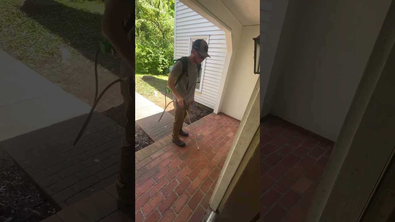 Kicking ants to the curb!