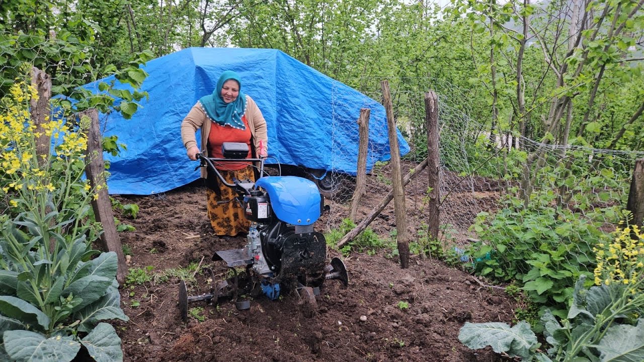 ‼️YENİ ASYAMIZ HAYIRLI OLSUN KAZILMADIK BAHÇE KALMAYACAK ‼️☺️