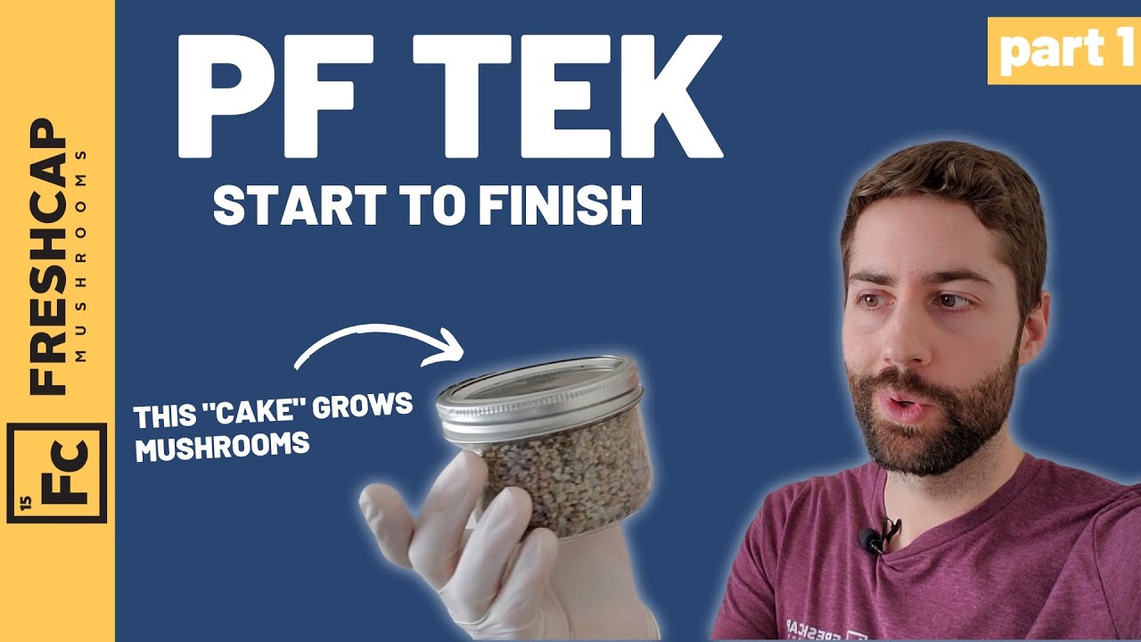 PF Tek From Start to Finish: The Complete Beginner's Mushroom Growing Guide — click to play