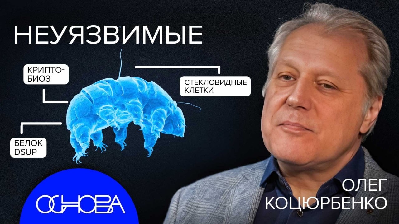 АСТРОБИОЛОГ КОЦЮРБЕНКО: БЕССМЕРТНЫЕ ОРГАНИЗМЫ НА ЗЕМЛЕ и В КОМОСЕ
