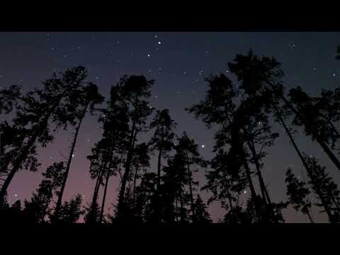 The Hip Abduction - 'Pacific Coast Highway' (Official Visualizer)