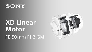 Video 0 of Product Sony FE 50mm F1.2 GM Full-Frame Lens (2021)