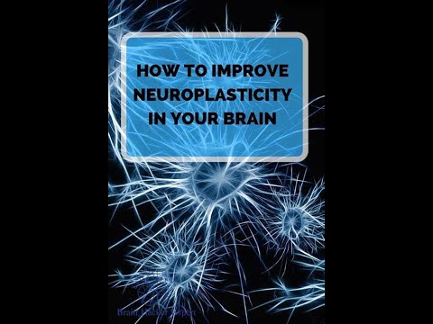 Unleash Your Evolutionary Potential: Transforming Mind And Body As One