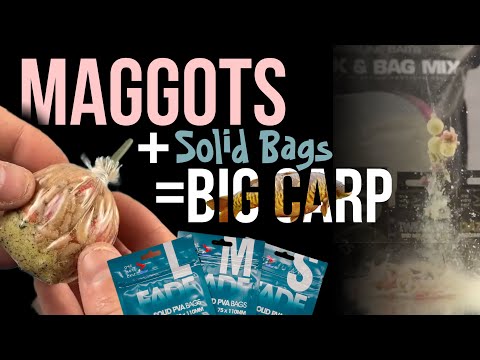 GET CARP IN A FRENZY WITH THIS MAGGOT BAGS | CARP FISHING TIPS | ALI HAMIDI | ONE MORE CAST