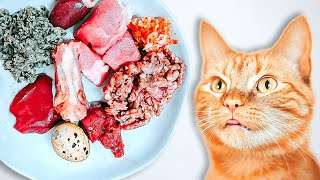 How To Raw Feed Your Cat (Ultimate Beginner