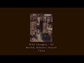 wild thoughts ~ slowed/reverbed instrumental ~ dj khaled (tiktok)