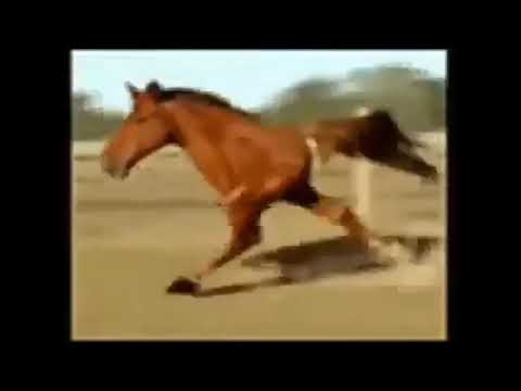 download lagu mp3 mp4 Jndjd, download lagu Jndjd gratis, unduh video klip Jndjd