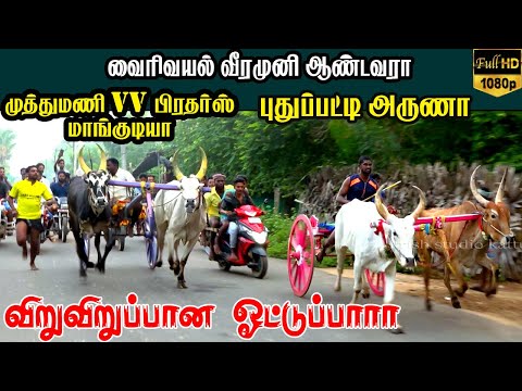 புதுக்கோட்டை (மா) அரசர்குளம்  பந்தயம்|10/10/2021|Arasarkulam panthayam krish rekalaa race