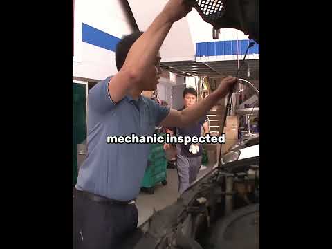 The Kitten Who Secretly Lived in a Car 🚗🐱❤️ (🎥 @kritterclub) #shorts  #cat