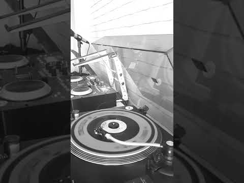 Sugar N Dandy Tra-la-la-la-la , 1964