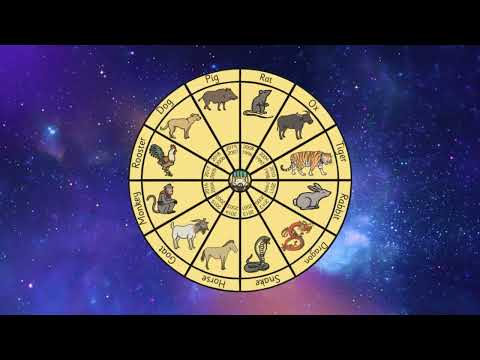 Chinese New Year Zodiac Animal Characteristics. Character Traits. Personality adjectives