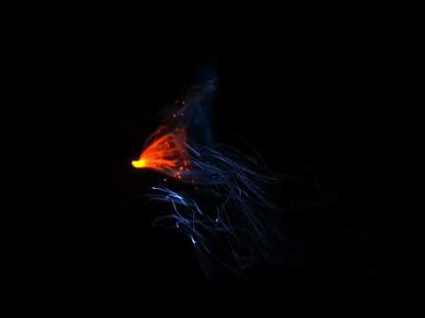 IM 188 | Movie Opener