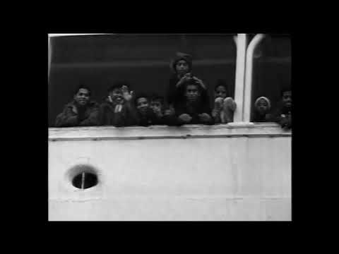 Haullistic - Utopia (Teaser)